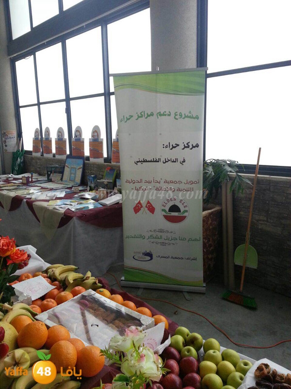 7era2 kotrye (13).JPG